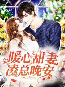 总裁的暖心甜妻免费阅读